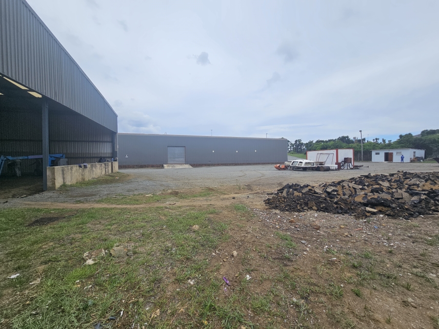 To Let commercial Property for Rent in Woodbrook Eastern Cape